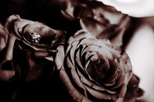 Black and White Roses with engagement ring, No Noise November